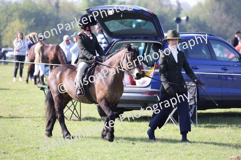 20250427-0109 - Class 30 - Tiny Tots Lead Rein