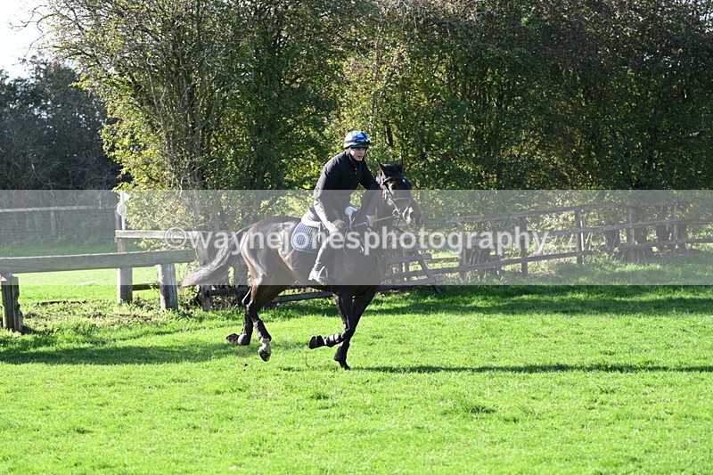 WJ7_7364 - Time 10:30 to 11:38