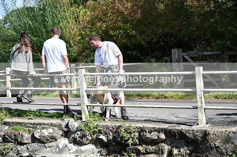 WJ7_5918 - Hounds Water Crossing