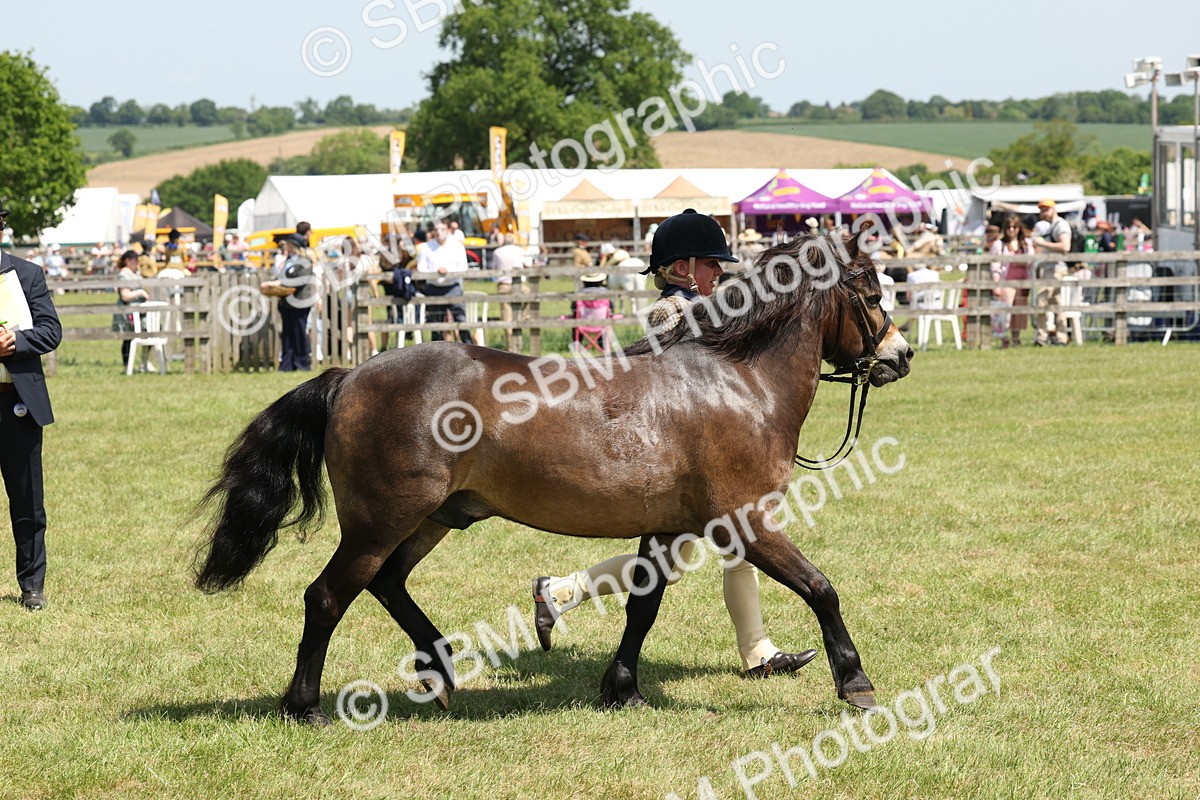 SBM_06862 - Class 26-30 - Mountain and Moorland Ridden