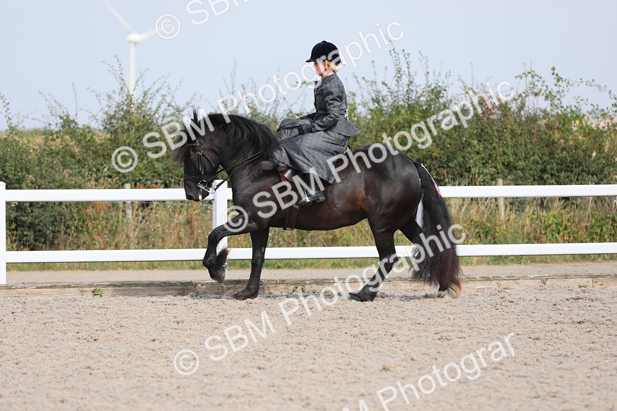 SBM_14565 - Class 211 Best Side Saddle Horse/Pony
