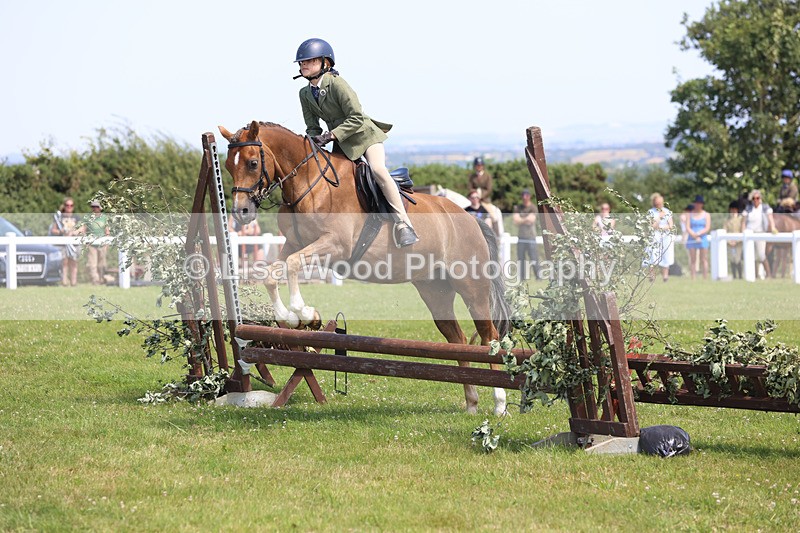 JPP_2665 - Class 21: Working Hunter 60cm