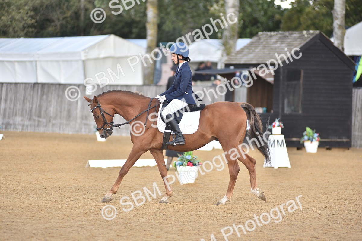 SBM_48914 - D22 - Junior Championship Intro 3