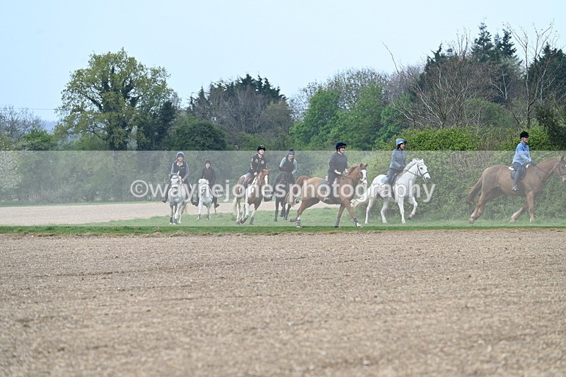 WJ7_3027 - Group 5