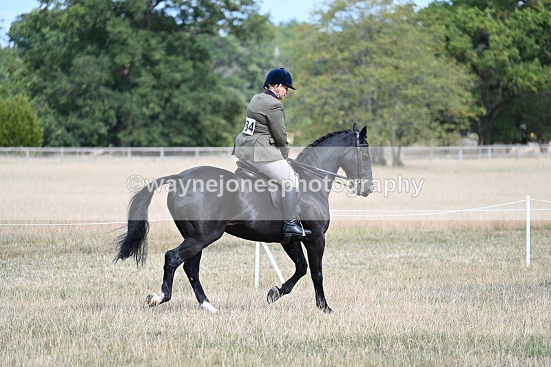WJ7_6114 - Class 13 Ridden Veterans