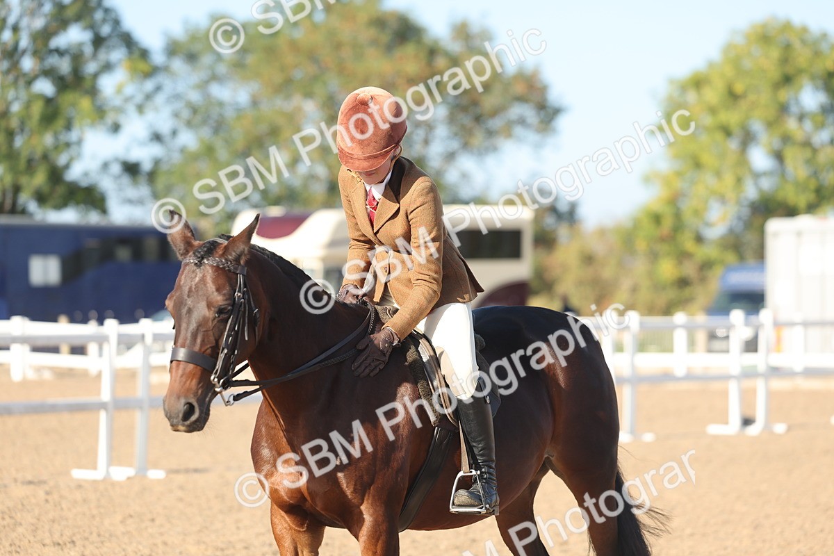 SBM_22125 - Class 801 - Ridden Veterans