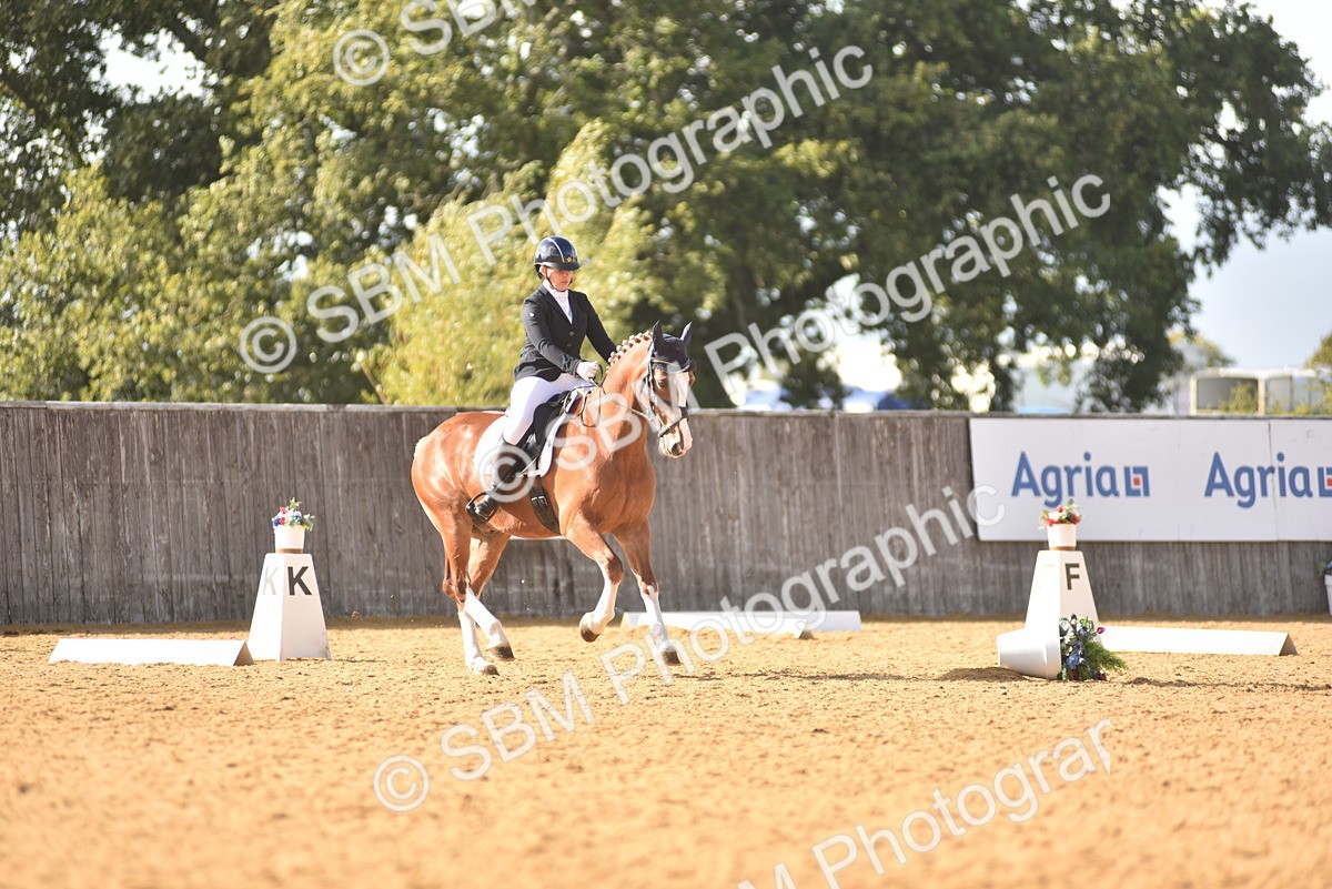 SBM_29571 - D16 -Small Tour Championship Novice 2