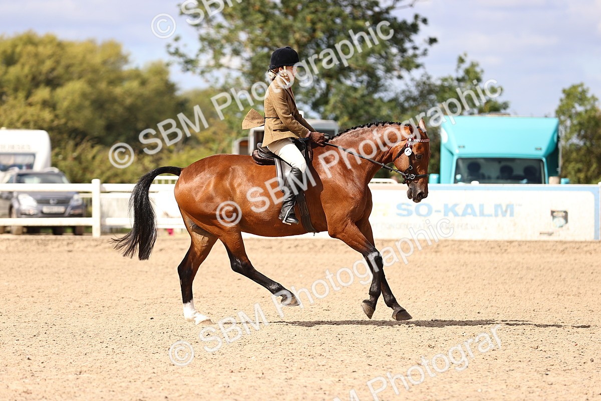 SBM_12928 - Class 410 - Grassroots Ridden - Horse