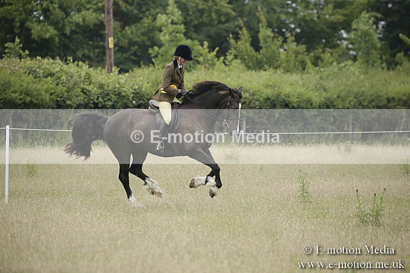 B230619-0551 - Bourne Valley Riding Club Summer Show 23/06/19