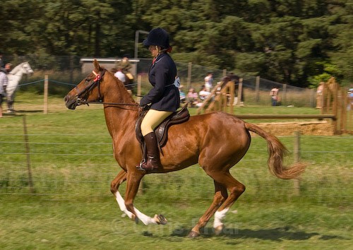 177 - Moniaive Horse Show 2008