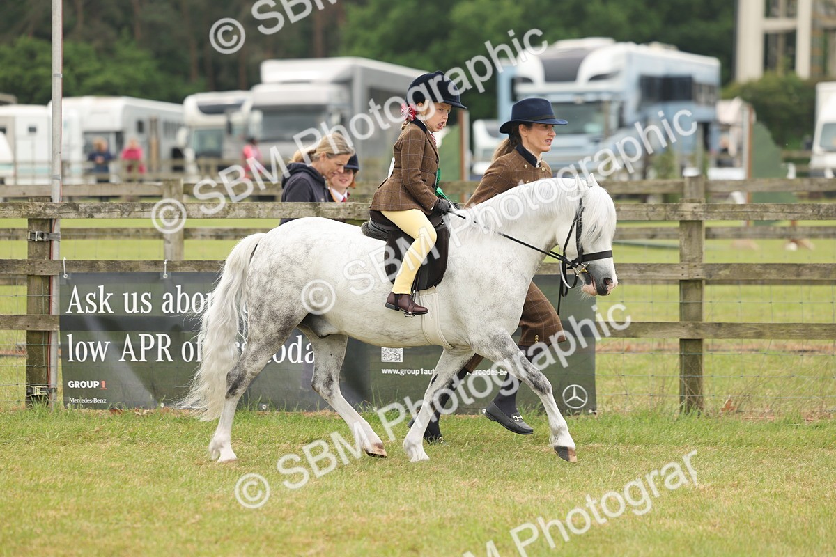SBM_06842 - Class 74-75 - M&M Lead Rein and First Ridden Pony