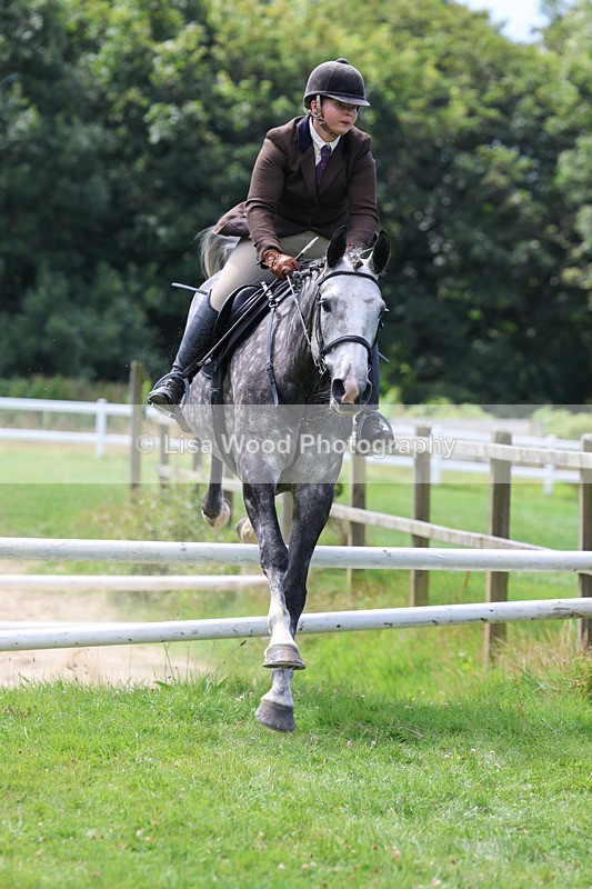 3E7A8875 - Class 6: Open Working Horse