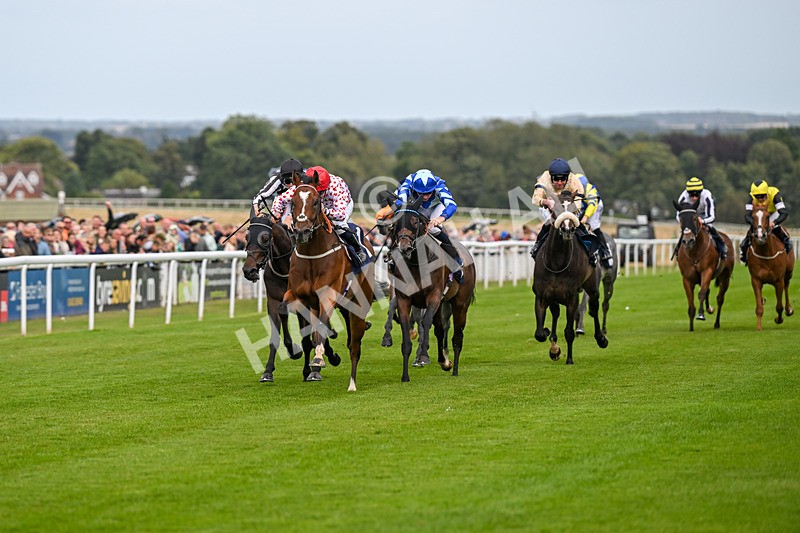 250824-Race 6-Lerwick-3796 - Race 6