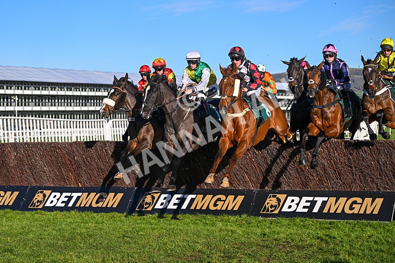 141224-Race 2-Hillcrest-1446 - Race 2