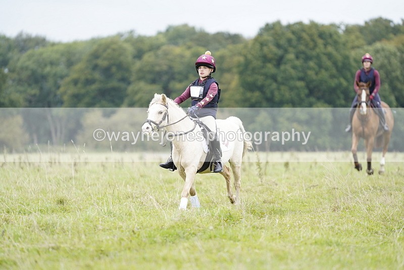 _DSC6940 - Time at Photographer 10:13 to 10:42