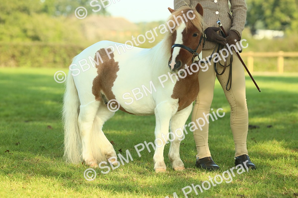 SBM_58620 - S37 - Starters In Hand Showing