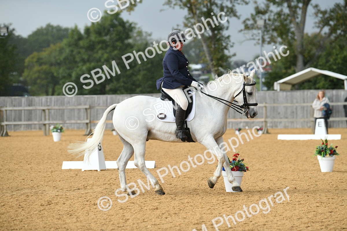 SBM_11126 - D28 Elementary Taster Elementary 42