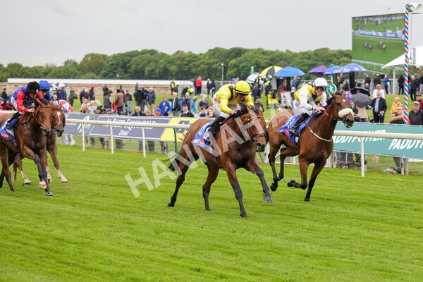 yr11052022r1-20 - Race 1 1.50pm Sky Bet Race to the Ebor Jorvik Stakes