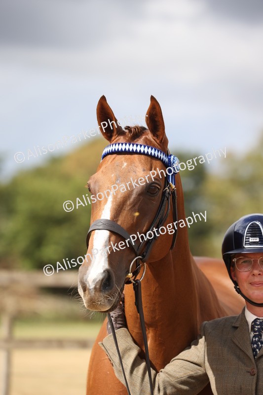 20260831-1980 - Class 5 - Retraining of Racehorses