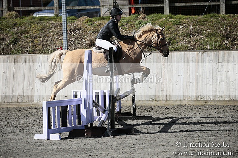 BVRC SJ 170319 261 - Bourne Valley Riding Club Showjumping 17/03/19