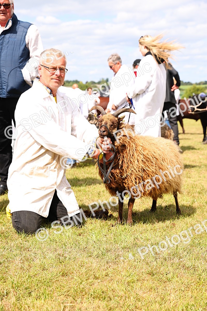 SBM_16981 - Grand Parade