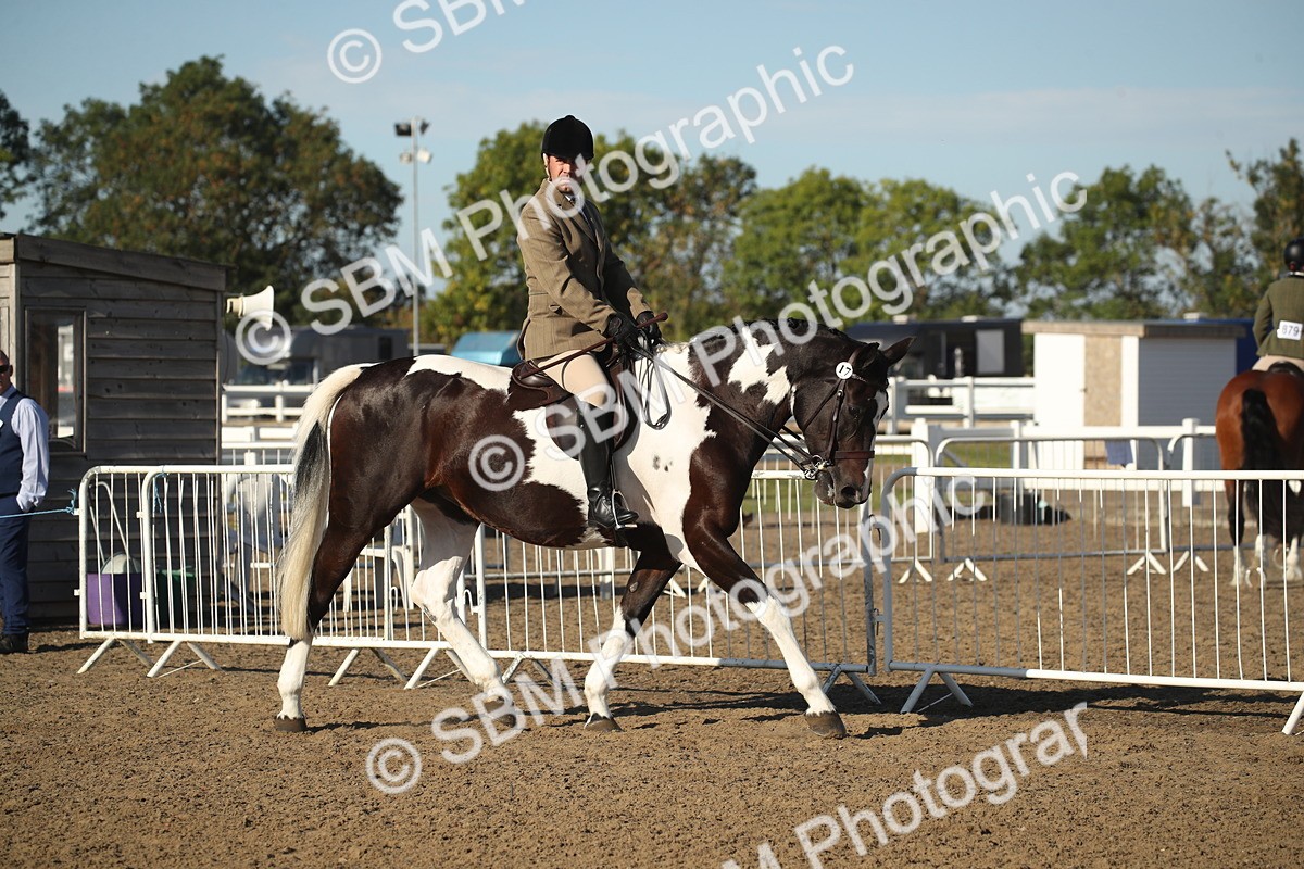 SBM_11281 - Class 501 -Riding Club Pony