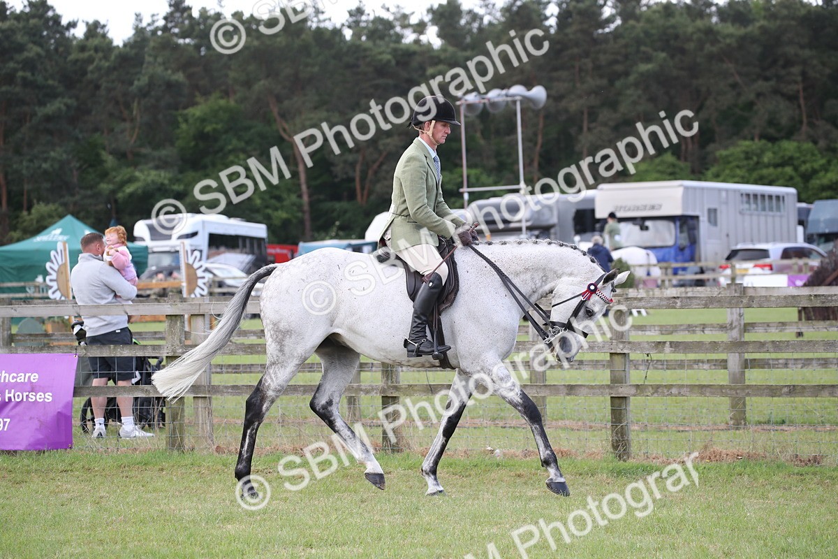 SBM_14153 - Class 113-114 - Retraining of Racehorses Ridden