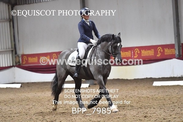 BPP_7985 - ELEM TEST 6