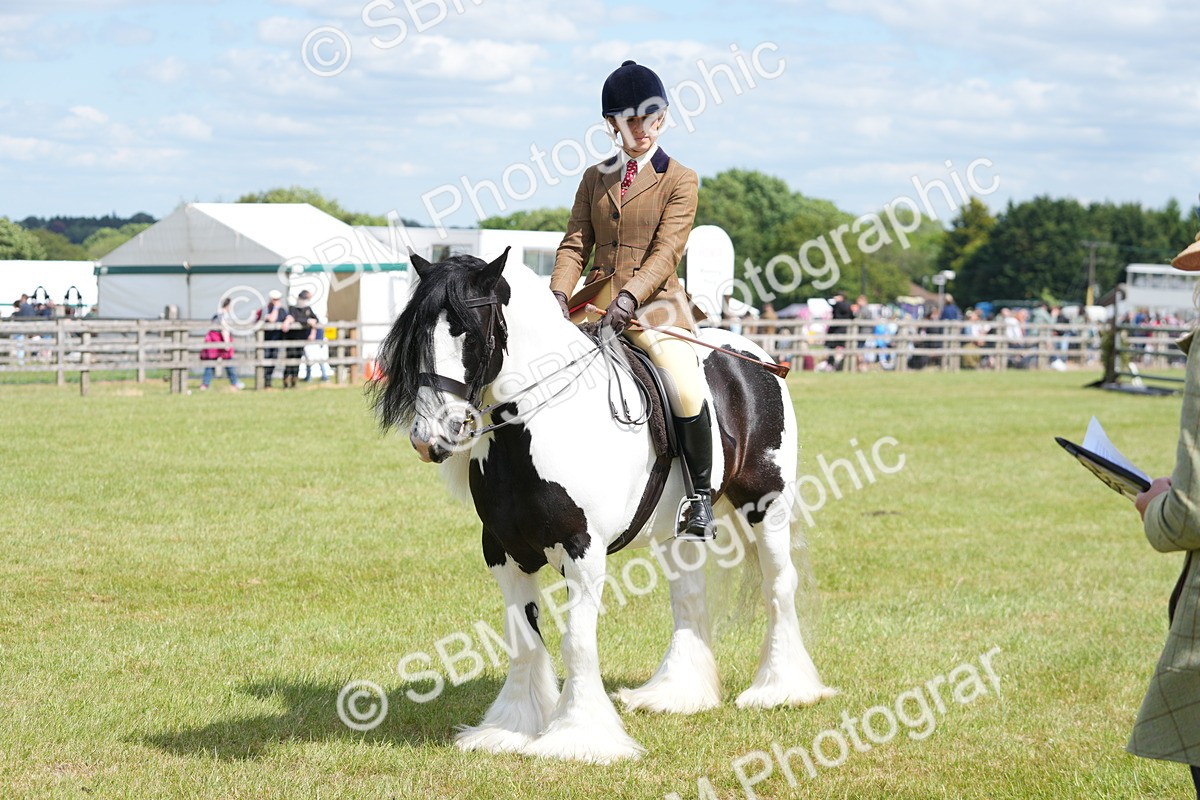 SBM_17239 - Class 107-108 - LIHS BSPS Performance Coloured Horse Pony
