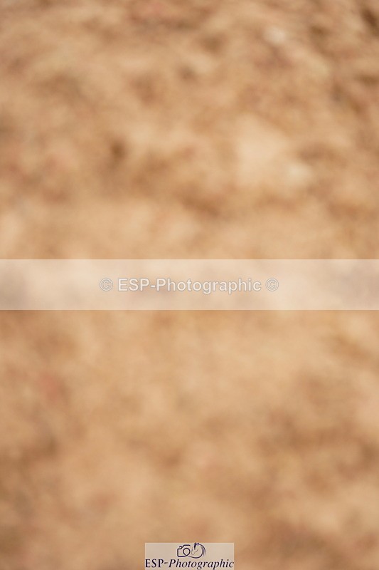 240524A-121300-03417 - Cls 15 Foxhunter