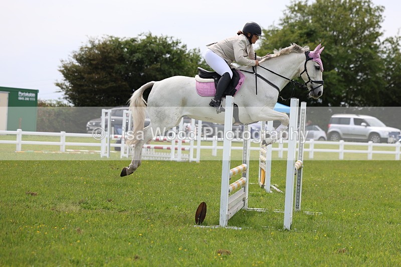 3E7A1660 - Class 13: Senior British Novice/90cm open