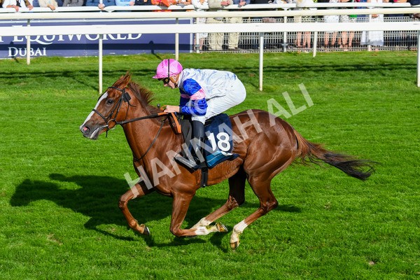 240823-Race 7-Nigiri-0884 - Race 7 5.20pm British EBF 40th Anniversary Fillies' Handicap