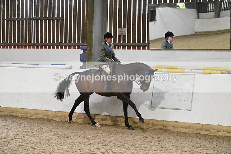 WJ7_4294 - Class 17 Ridden Cob