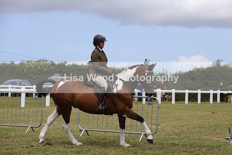 1X9A4366 - Class 34: Veteran Ridden