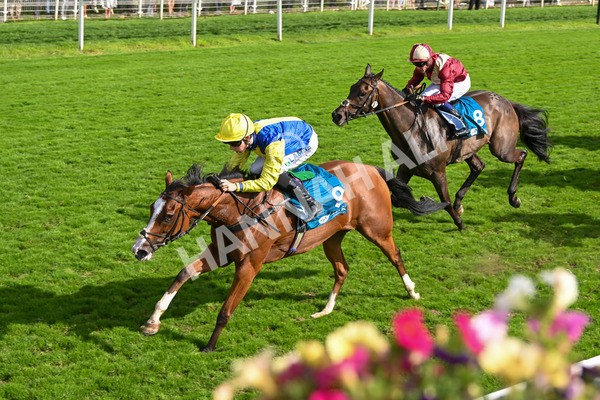 230824-Race 5-Canoodled-9754 - Race 5 4.10pm Assured Data Protection EBF Fillies' Handicap