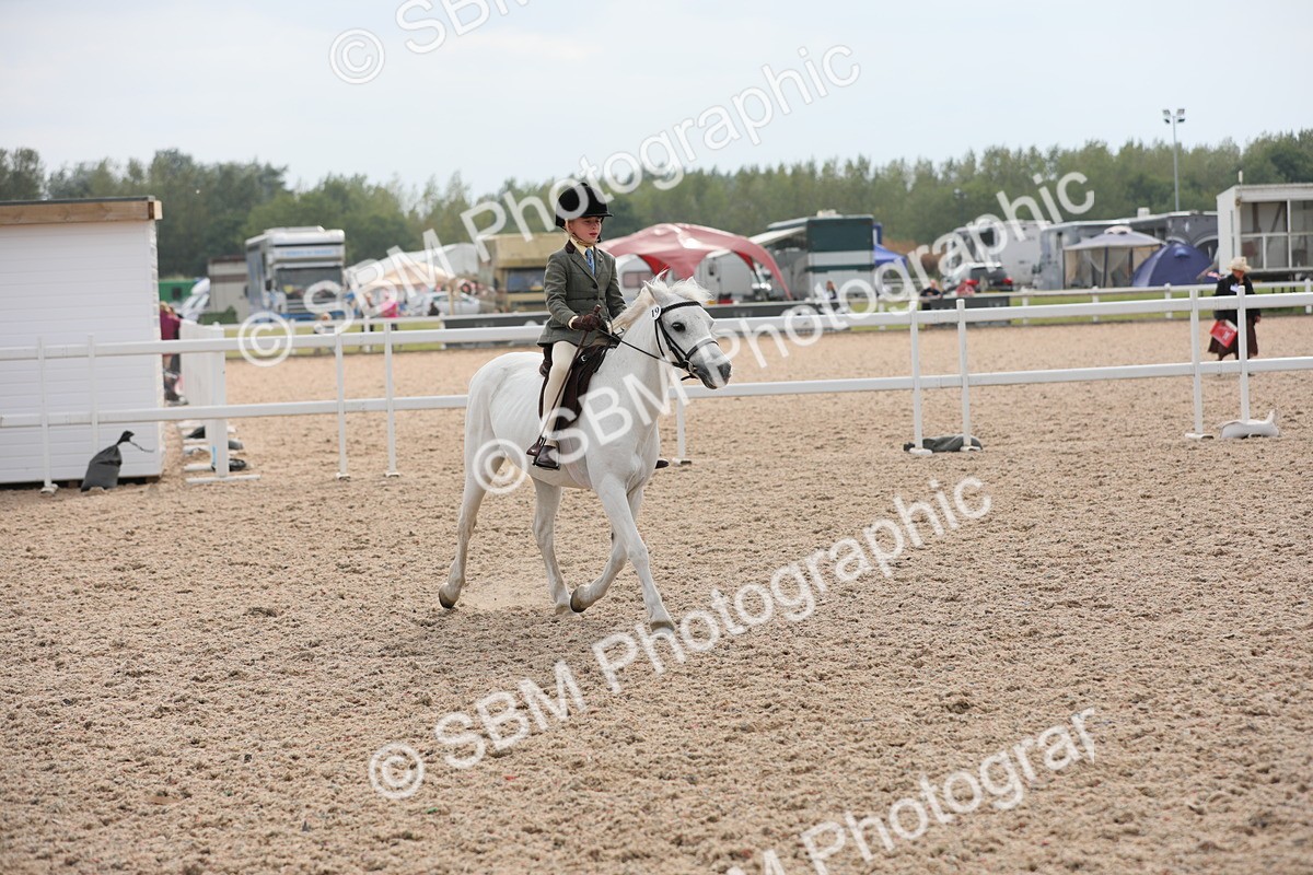 SBM_16920 - Class 314 Family Horse/Pony