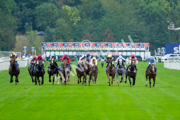 080925-Race 2-Alzahir-7737 - Race 2 3.00pm Sky Bet Super Sub Sprint Handicap