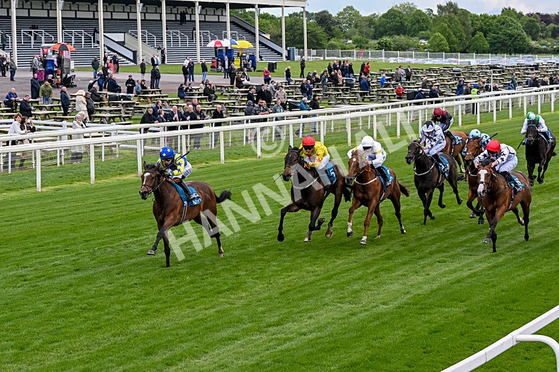 130526-Race 6-Startled-0367 - Race 6 4.40pm Conundrum HR Consulting Handicap