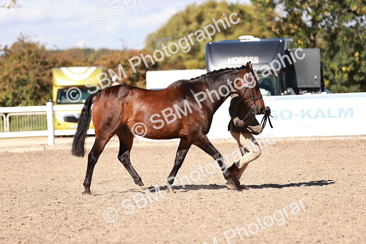SBM_13287 - class 406 - IH Hunter