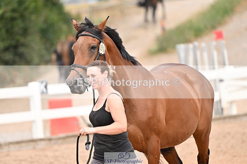 250716-150847-01692 - Trot Up 2.30 to 3.30