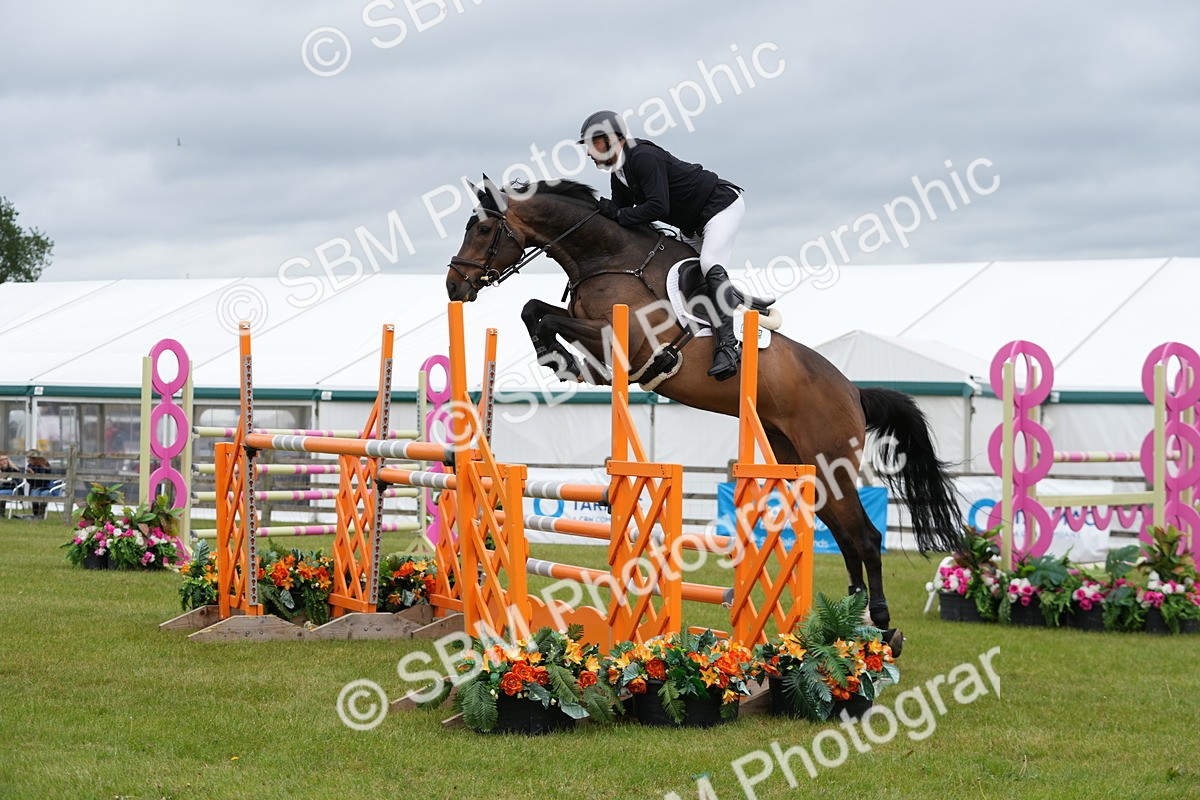 SBM_03405 - Class 201 - British Horse Feeds Speedi Beet Horse of the Year Show Grade  C