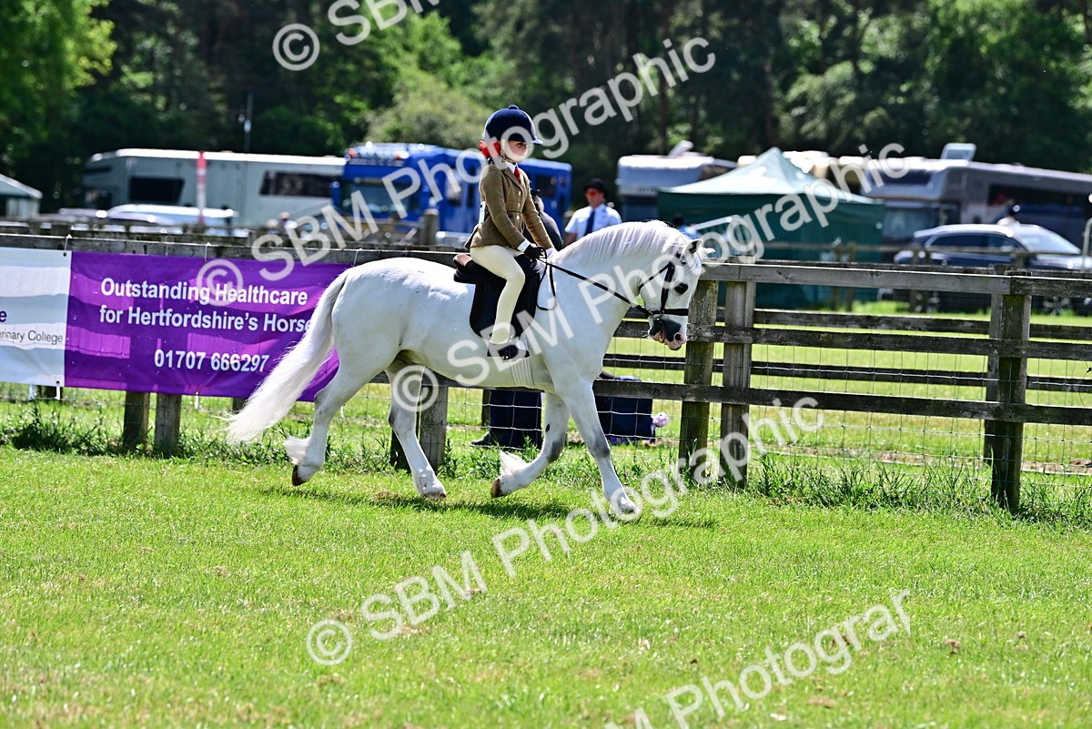 SBM_06030 - Class 59-60 - TSR M&M  Lear Rein and First Ridden Amateur of the year