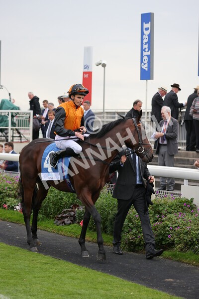 yr19082021r5-4 - Race 5 4.10pm OR8wellness ebfstallions Nursery Handicap
