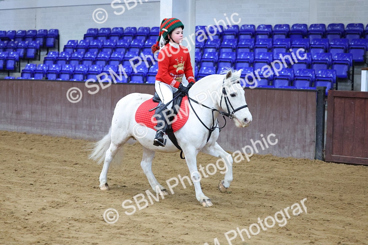 SBM_000175 - Class 1 - Show Jumping 50cm