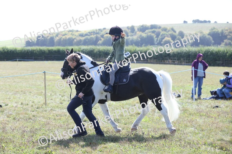 20250831-2498 - Class 16 - Family Pony