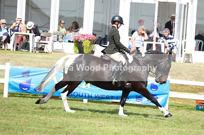 3E7A9716 - Class 5: Rising Star Lightweight/Heavyweight Cobs