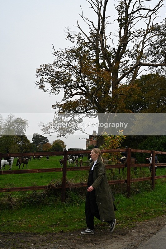 WJ7_7274 - The Meet