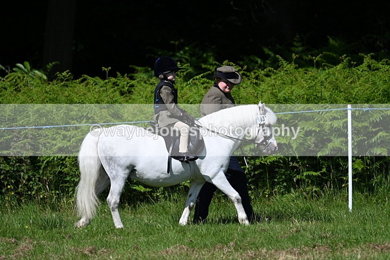 WJ7_0679 - Class 8 First Rally Pony
