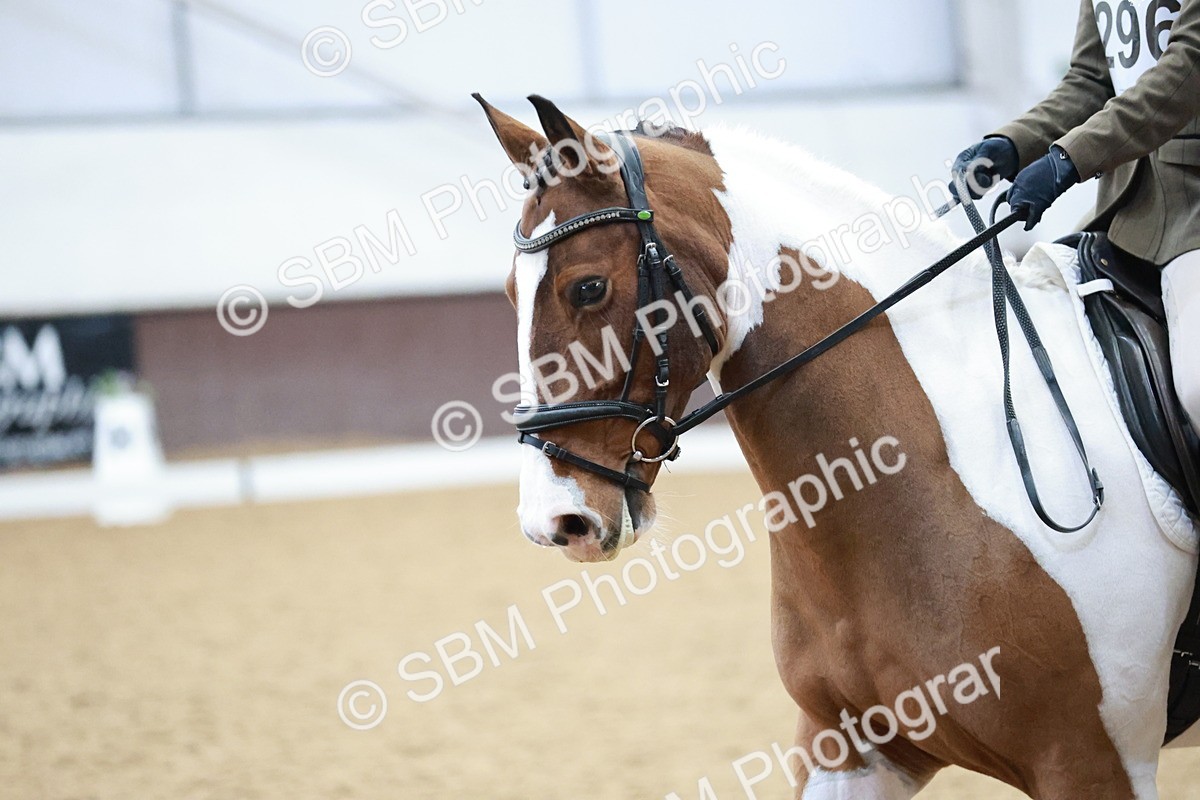 SBM_003936 - Class 2 - Novice 2020