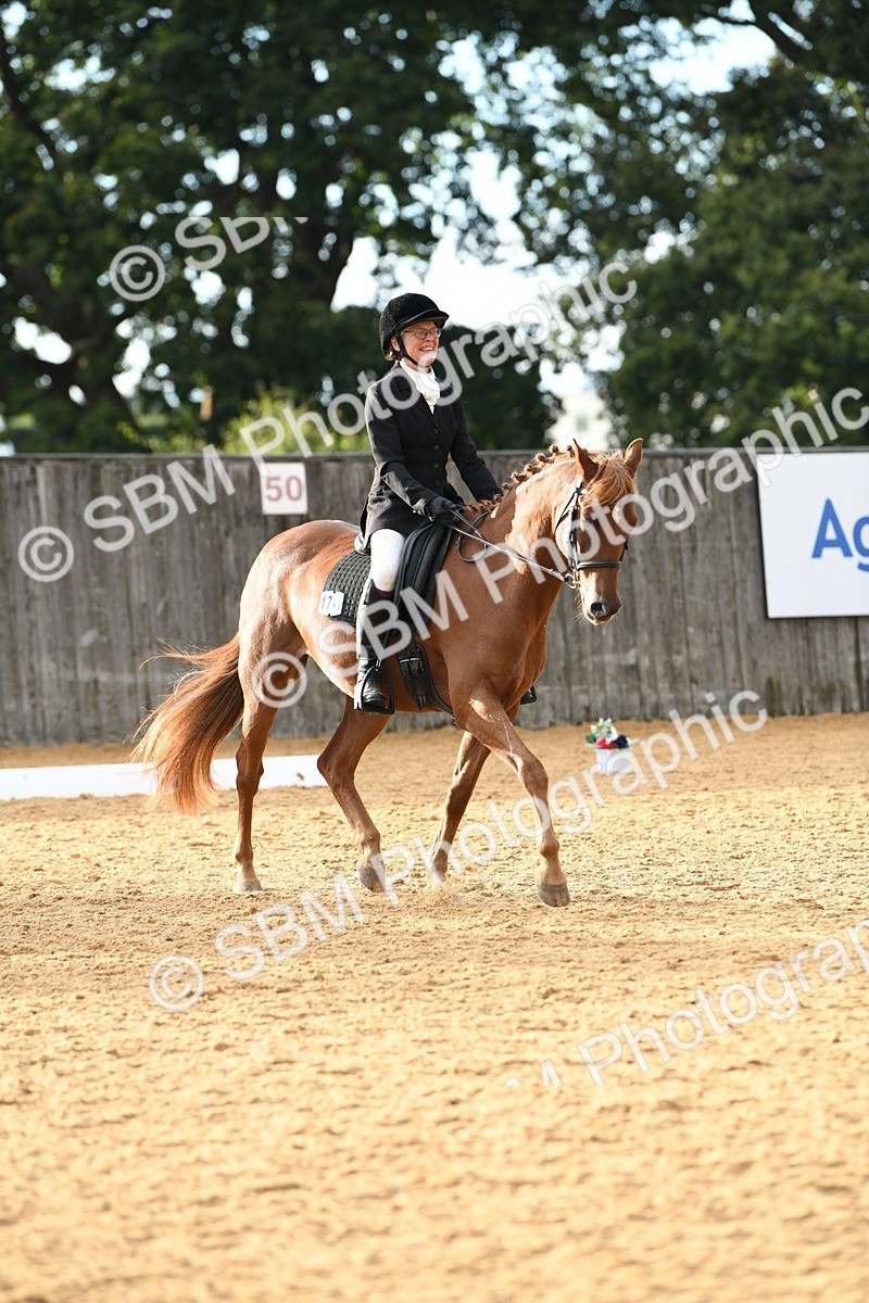 SBM_12563 - D19 Small Tour Championship Elementary 42